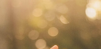 The Role of Christian Journalism