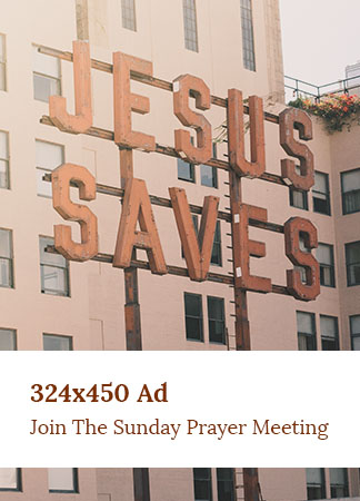 Google search engine